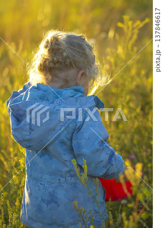 Little Girl in Blue Jacket Walking in Sunny Meadow with Copy Space Little Girl in Blue Jacket Walking in Sunny Meadow with Copy Space 137846617