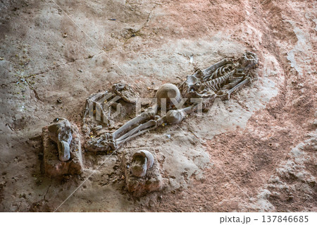 Human and dog skeletons with Dvaravati period items discovered in Si Thep Historical Park, Phetchabun Province, Thailand. 137846685