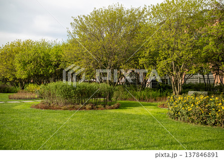 Expansive green garden filled with flourishing trees and bushes, showcasing the beauty of nature in a tranquil park environment during daylight hours. Expansive green garden filled with flourishing trees and bushes, showcasing the beauty of nature in a tranquil park environment during daylight hours. 137846891