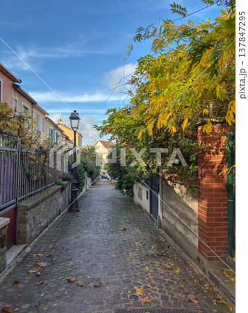 Mouzaia cobblestone alley with autumn colors in Paris 19th France 137847295