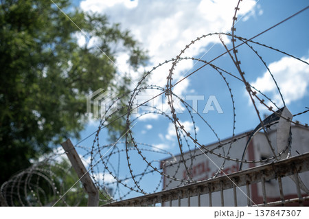 Barbed wire coils protect a restricted area under a vibrant blue sky with white clouds, highlighting security measures in an outdoor location. 137847307