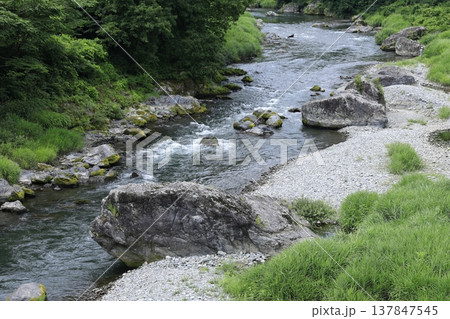 緑の森を流れる川 137847545