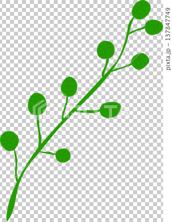 Berry Branch PNG Illustration 137847749