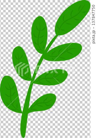 Small Leaf Branch Illustration Small Leaf Branch Illustration 137847750