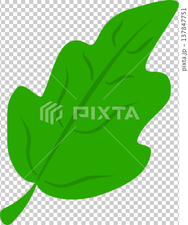 Green Oak Leaf PNG Illustration Isolated 137847751