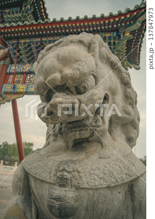 Ancient Stone Guardian Lion Statue in Beijing Temple with copy space Ancient Stone Guardian Lion Statue in Beijing Temple with copy space 137847973
