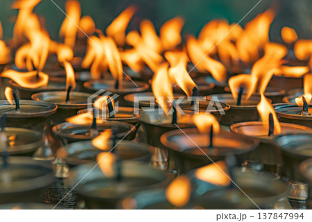 Golden Prayer Flames of Nepal Ritual Butter Lamps with Copy Space Golden Prayer Flames of Nepal Ritual Butter Lamps with Copy Space 137847994