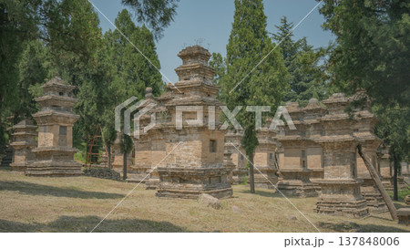 Ancient Buddhist Pagoda Forest at Shaolin Temple with copy space 137848006