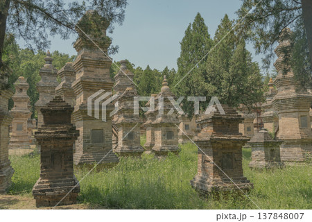 Ancient Brick Pagoda Forest at Shaolin Monastery with copy space Ancient Brick Pagoda Forest at Shaolin Monastery with copy space 137848007