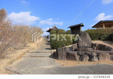 三豊市の蝋梅の名所「延命院」 137848320