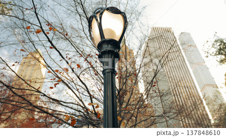 Ornate Vintage Street Lamp in Central Park with Skyscrapers Background and Copy Space 137848610