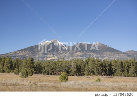 Majestic Snow Capped Humphreys Peak in Flagstaff Arizona with Pine Forest and Copy Space 137848620