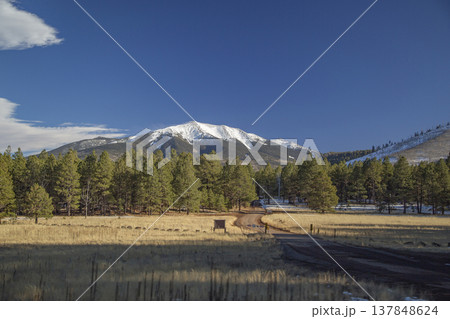 Dirt Road Leading to Snow Capped Humphreys Peak in Flagstaff Arizona with Copy Space Dirt Road Leading to Snow Capped Humphreys Peak in Flagstaff Arizona with Copy Space 137848624