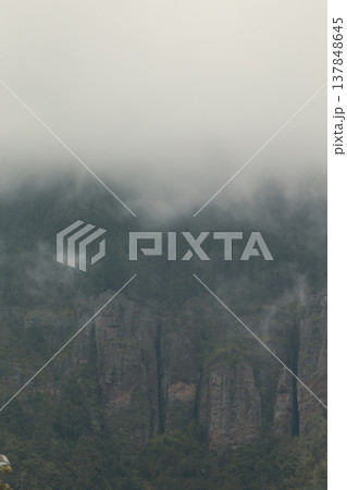 Mysterious Moody Pine Forest Shrouded in Thick Mist over Rocky Cliffs with Large Copy Space for Text Mysterious Moody Pine Forest Shrouded in Thick Mist over Rocky Cliffs with Large Copy Space for Text 137848645
