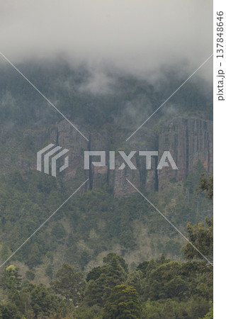 Majestic Vertical Rock Cliffs and Pine Forest Shrouded in Thick Mountain Fog with Copy Space Majestic Vertical Rock Cliffs and Pine Forest Shrouded in Thick Mountain Fog with Copy Space 137848646