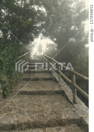 Ancient Stone Stairway in Misty Forest as Concept of Mindfulness and Spiritual Journey with Copy Space 137848652