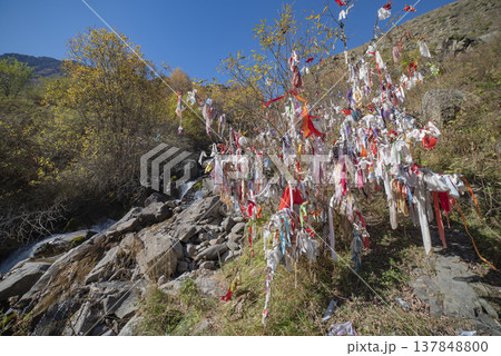 Colorful Wishing Tree with Ribbons in Mountains Background for Text 137848800
