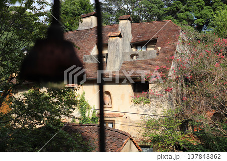 ぬくもりの森のレトロなランプ 137848862