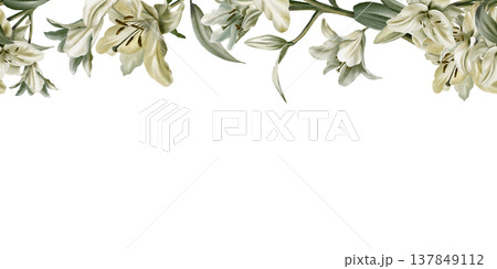Template of seamless border of white lilies in watercolor clipart as a symbol of purity and innocence.Decoration for funeral,wedding,Communion,christening,decoration of religious printed products 137849112
