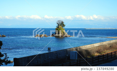 春の雨晴海岸 春の雨晴海岸 137849280