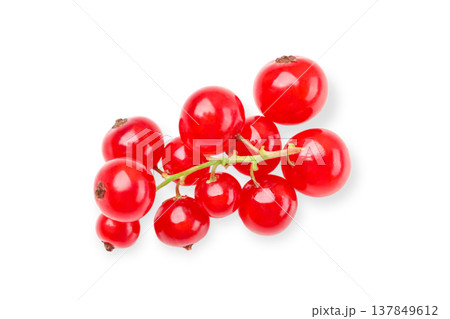 Red currants arranged in a bunch with green stems, PNG Red currants arranged in a bunch with green stems, PNG 137849612