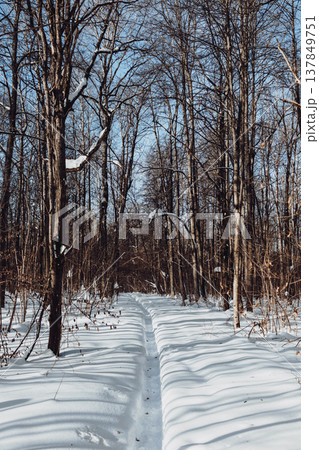 Beautiful winter landscape, country road and trees covered with snow. Winter nature background. Beautiful winter landscape, country road and trees covered with snow. Winter nature background. 137849751