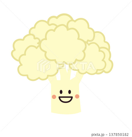 可愛いカリフラワーのキャラクターイラスト 137850182