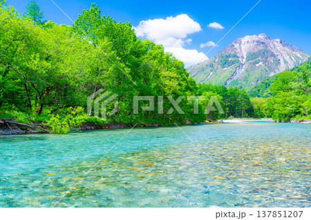 【絶景】初夏の上高地・新緑の梓川と焼岳【長野県】 137851207