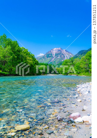 【絶景】初夏の上高地・新緑の梓川と焼岳【長野県】 【絶景】初夏の上高地・新緑の梓川と焼岳【長野県】 137851211