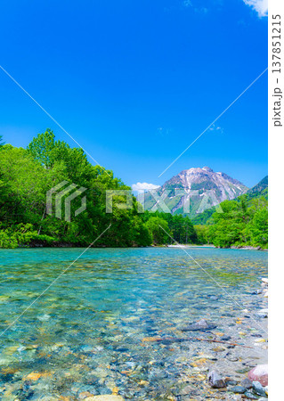 【絶景】初夏の上高地・新緑の梓川と焼岳【長野県】 137851215