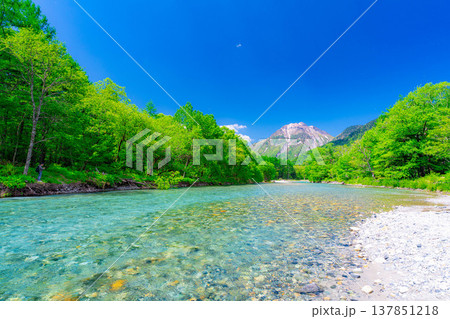 【絶景】初夏の上高地・新緑の梓川と焼岳【長野県】 【絶景】初夏の上高地・新緑の梓川と焼岳【長野県】 137851218
