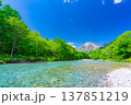 【絶景】初夏の上高地・新緑の梓川と焼岳【長野県】 137851219