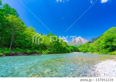 【絶景】初夏の上高地・新緑の梓川と焼岳【長野県】 137851219