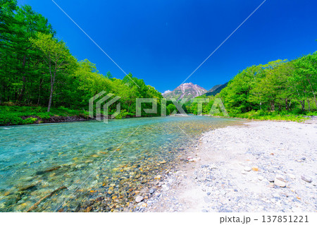 【絶景】初夏の上高地・新緑の梓川と焼岳【長野県】 137851221