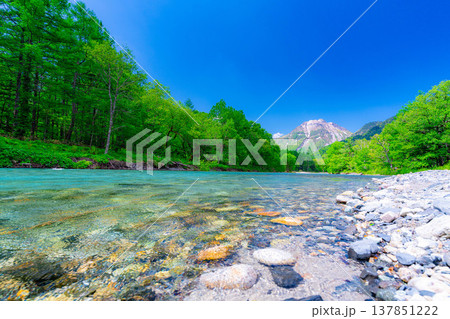 【絶景】初夏の上高地・新緑の梓川と焼岳【長野県】 【絶景】初夏の上高地・新緑の梓川と焼岳【長野県】 137851222