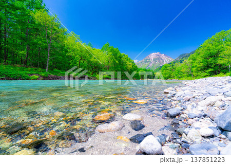 【絶景】初夏の上高地・新緑の梓川と焼岳【長野県】 【絶景】初夏の上高地・新緑の梓川と焼岳【長野県】 137851223