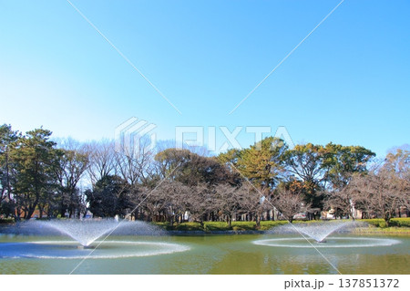愛知県名古屋市、名城公園御深井池の風景 愛知県名古屋市、名城公園御深井池の風景 137851372