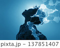 内側から光が差し込む再生のシルエット 自己変革と癒しのコンセプト 137851407