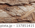 ナチュラルな木材テクスチャ クローズアップ背景素材（OSBボード風） 137851415