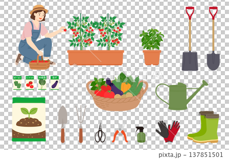 A set of illustrations depicting a woman enjoying home gardening and gardening tools. 137851501
