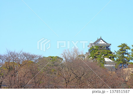 愛知県岡崎市、岡崎城の風景 137851587