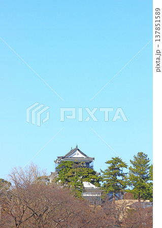 愛知県岡崎市、岡崎城の風景 137851589