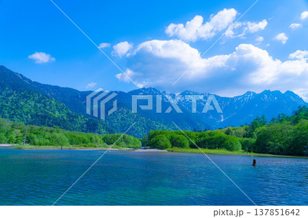 【絶景】初夏の上高地・新緑の大正池と穂高連峰【長野県】 137851642