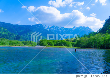 【絶景】初夏の上高地・新緑の大正池と穂高連峰【長野県】 137851643