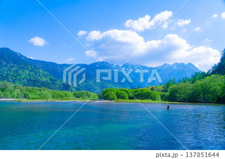 【絶景】初夏の上高地・新緑の大正池と穂高連峰【長野県】 【絶景】初夏の上高地・新緑の大正池と穂高連峰【長野県】 137851644