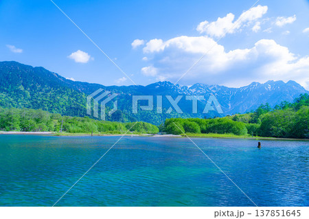 【絶景】初夏の上高地・新緑の大正池と穂高連峰【長野県】 【絶景】初夏の上高地・新緑の大正池と穂高連峰【長野県】 137851645