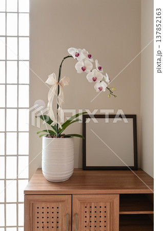 Big White Phalaenopsis, Peaceful white orchid flower beside empty wooden frame in room Big White Phalaenopsis, Peaceful white orchid flower beside empty wooden frame in room 137852163