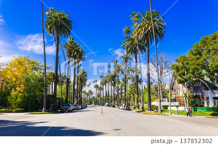 ロサンゼルス　ビバリーヒルズの住宅街 137852302