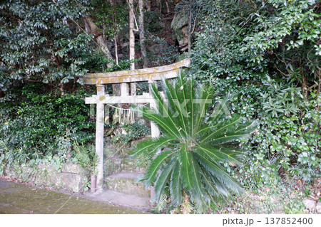 高知県土佐清水市　竈戸神社 137852400