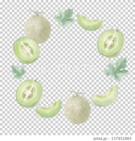 Watercolor-style illustration of a green-fleshed melon 137852665